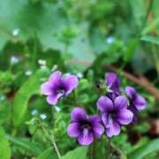 ヒメ日記 2025/05/06 10:02 投稿 りお 夜這専門発情する奥様たち 谷九店