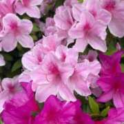 ヒメ日記 2025/05/07 10:11 投稿 りお 夜這専門発情する奥様たち 谷九店