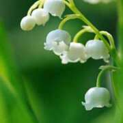 ヒメ日記 2025/05/08 10:02 投稿 りお 夜這専門発情する奥様たち 谷九店