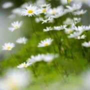 ヒメ日記 2025/05/09 10:02 投稿 りお 夜這専門発情する奥様たち 谷九店