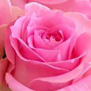 ヒメ日記 2025/05/10 09:02 投稿 りお 夜這専門発情する奥様たち 谷九店