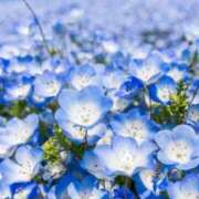 ヒメ日記 2025/05/13 10:02 投稿 りお 夜這専門発情する奥様たち 谷九店