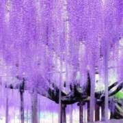 ヒメ日記 2025/05/14 10:11 投稿 りお 夜這専門発情する奥様たち 谷九店