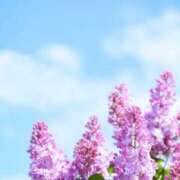 ヒメ日記 2025/05/15 10:02 投稿 りお 夜這専門発情する奥様たち 谷九店