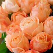 ヒメ日記 2025/05/16 09:41 投稿 りお 夜這専門発情する奥様たち 谷九店