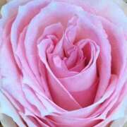 ヒメ日記 2025/05/19 09:07 投稿 りお 夜這専門発情する奥様たち 谷九店