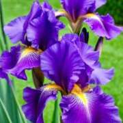 ヒメ日記 2025/05/20 10:11 投稿 りお 夜這専門発情する奥様たち 谷九店