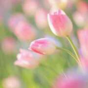 ヒメ日記 2025/05/21 10:11 投稿 りお 夜這専門発情する奥様たち 谷九店