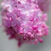 ヒメ日記 2025/05/22 10:15 投稿 りお 夜這専門発情する奥様たち 谷九店