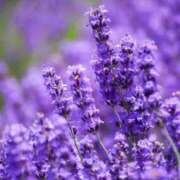 ヒメ日記 2025/05/23 10:02 投稿 りお 夜這専門発情する奥様たち 谷九店