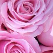 ヒメ日記 2025/05/24 09:02 投稿 りお 夜這専門発情する奥様たち 谷九店