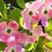 ヒメ日記 2025/05/26 10:02 投稿 りお 夜這専門発情する奥様たち 谷九店