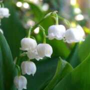 ヒメ日記 2025/05/27 10:02 投稿 りお 夜這専門発情する奥様たち 谷九店