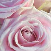 ヒメ日記 2025/05/28 09:05 投稿 りお 夜這専門発情する奥様たち 谷九店