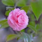 ヒメ日記 2025/05/30 10:02 投稿 りお 夜這専門発情する奥様たち 谷九店