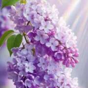 ヒメ日記 2025/06/02 10:11 投稿 りお 夜這専門発情する奥様たち 谷九店