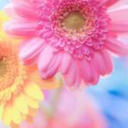 ヒメ日記 2025/06/03 10:02 投稿 りお 夜這専門発情する奥様たち 谷九店