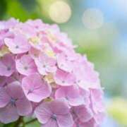 ヒメ日記 2025/06/05 10:02 投稿 りお 夜這専門発情する奥様たち 谷九店