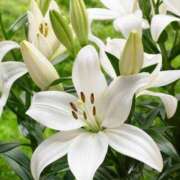 ヒメ日記 2025/06/06 10:02 投稿 りお 夜這専門発情する奥様たち 谷九店