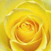 ヒメ日記 2025/06/07 09:02 投稿 りお 夜這専門発情する奥様たち 谷九店