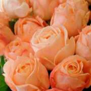 ヒメ日記 2025/06/08 09:02 投稿 りお 夜這専門発情する奥様たち 谷九店