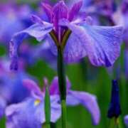 ヒメ日記 2025/06/11 10:12 投稿 りお 夜這専門発情する奥様たち 谷九店