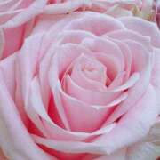 ヒメ日記 2025/06/12 10:02 投稿 りお 夜這専門発情する奥様たち 谷九店