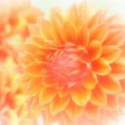 ヒメ日記 2025/06/13 10:02 投稿 りお 夜這専門発情する奥様たち 谷九店