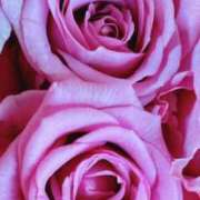 ヒメ日記 2025/06/14 09:02 投稿 りお 夜這専門発情する奥様たち 谷九店