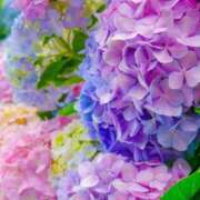 ヒメ日記 2025/06/15 10:01 投稿 りお 夜這専門発情する奥様たち 谷九店