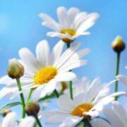 ヒメ日記 2025/06/16 09:41 投稿 りお 夜這専門発情する奥様たち 谷九店