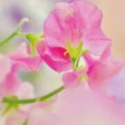 ヒメ日記 2025/06/18 10:01 投稿 りお 夜這専門発情する奥様たち 谷九店