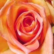 ヒメ日記 2025/06/19 09:13 投稿 りお 夜這専門発情する奥様たち 谷九店