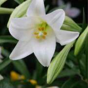 ヒメ日記 2025/06/20 10:02 投稿 りお 夜這専門発情する奥様たち 谷九店