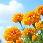 ヒメ日記 2025/06/22 10:04 投稿 りお 夜這専門発情する奥様たち 谷九店