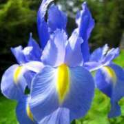 ヒメ日記 2025/06/24 10:02 投稿 りお 夜這専門発情する奥様たち 谷九店