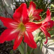 ヒメ日記 2025/06/27 10:02 投稿 りお 夜這専門発情する奥様たち 谷九店