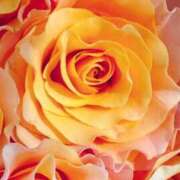 ヒメ日記 2025/06/28 09:02 投稿 りお 夜這専門発情する奥様たち 谷九店