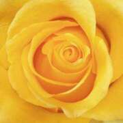 ヒメ日記 2025/06/29 09:02 投稿 りお 夜這専門発情する奥様たち 谷九店