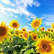 ヒメ日記 2025/07/01 10:02 投稿 りお 夜這専門発情する奥様たち 谷九店