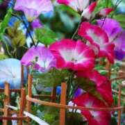 ヒメ日記 2025/07/02 10:02 投稿 りお 夜這専門発情する奥様たち 谷九店