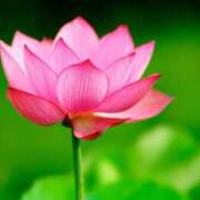 ヒメ日記 2025/07/03 10:09 投稿 りお 夜這専門発情する奥様たち 谷九店