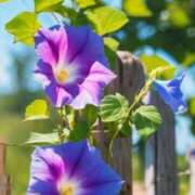 ヒメ日記 2025/07/05 09:19 投稿 りお 夜這専門発情する奥様たち 谷九店