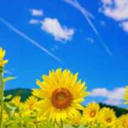 ヒメ日記 2025/07/06 10:02 投稿 りお 夜這専門発情する奥様たち 谷九店