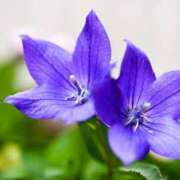 ヒメ日記 2025/07/07 10:10 投稿 りお 夜這専門発情する奥様たち 谷九店