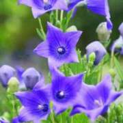 ヒメ日記 2025/07/08 10:11 投稿 りお 夜這専門発情する奥様たち 谷九店