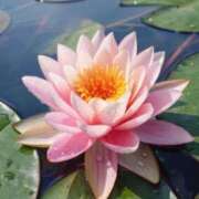 ヒメ日記 2025/07/09 10:16 投稿 りお 夜這専門発情する奥様たち 谷九店