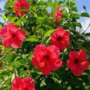 ヒメ日記 2025/07/10 09:41 投稿 りお 夜這専門発情する奥様たち 谷九店