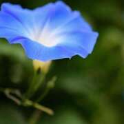 ヒメ日記 2025/07/13 10:02 投稿 りお 夜這専門発情する奥様たち 谷九店