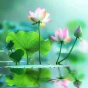 ヒメ日記 2025/07/16 10:11 投稿 りお 夜這専門発情する奥様たち 谷九店